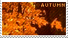 a stamp that says 'Autumn' with some crispy autumn leaves in the background