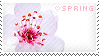 stamp that says 'Spring' with a flower in the background