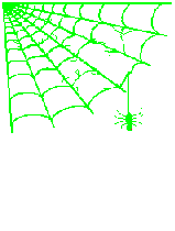 a neon green spiderweb