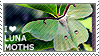 a stamp of a luna moth