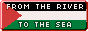 button with the Palestinian flag that says 'From the river to the sea.'