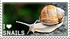 a stamp with a snail, also with the caption 'I love snails'