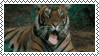 a stamp of a tiger gif