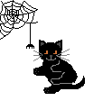 a gif of a black kitten playing with a spiderweb