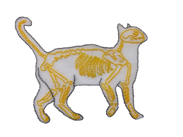 a patch of a skeletal cat