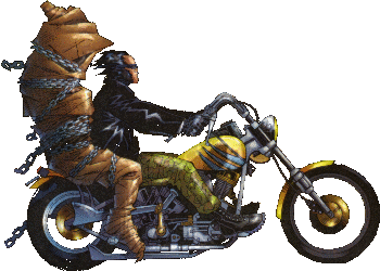 a biker riding a motorcycle